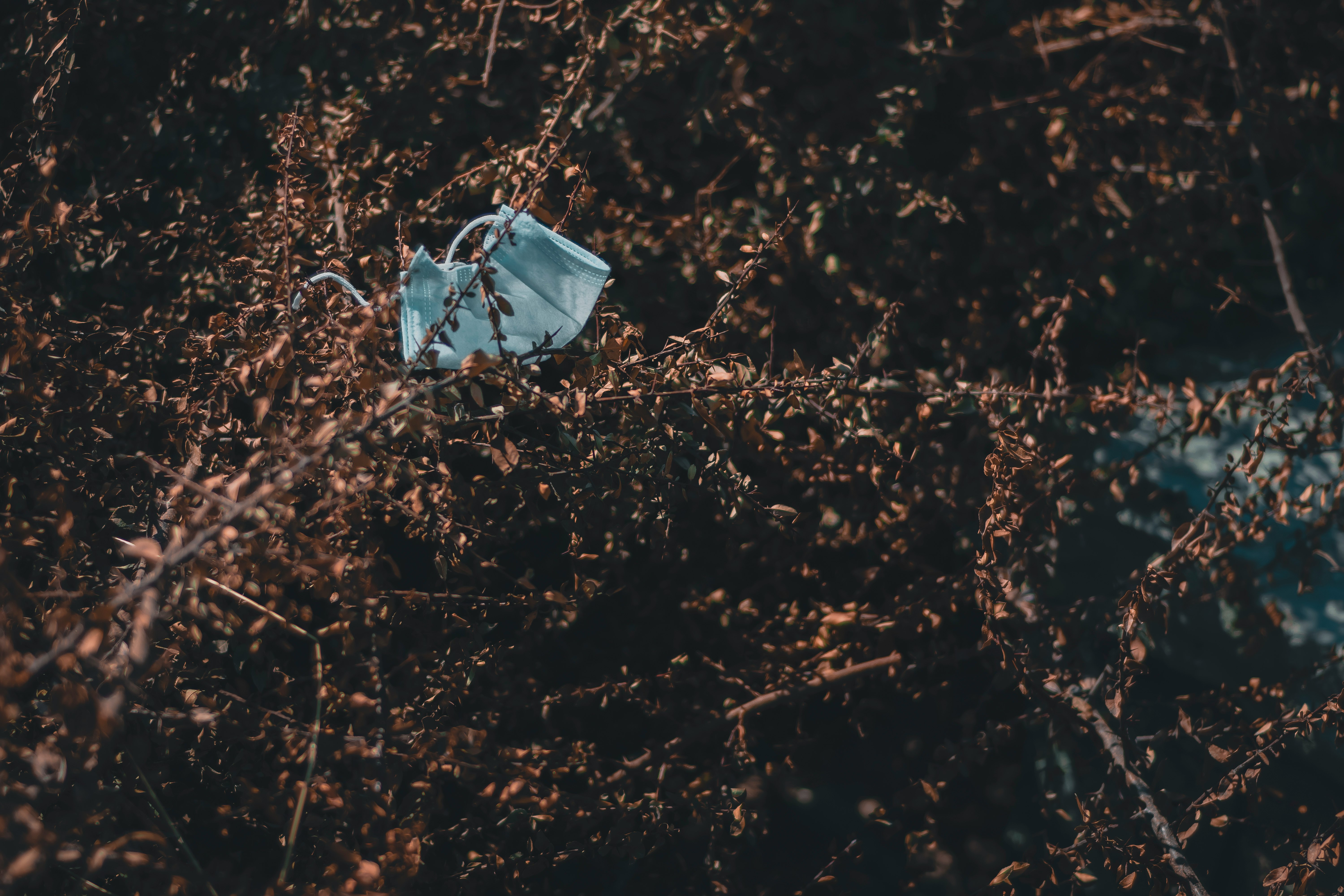 white plastic bag on brown dried leaves